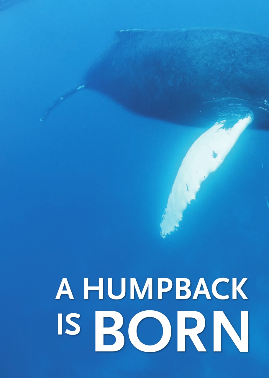 Canadian Geographic Preview Pages