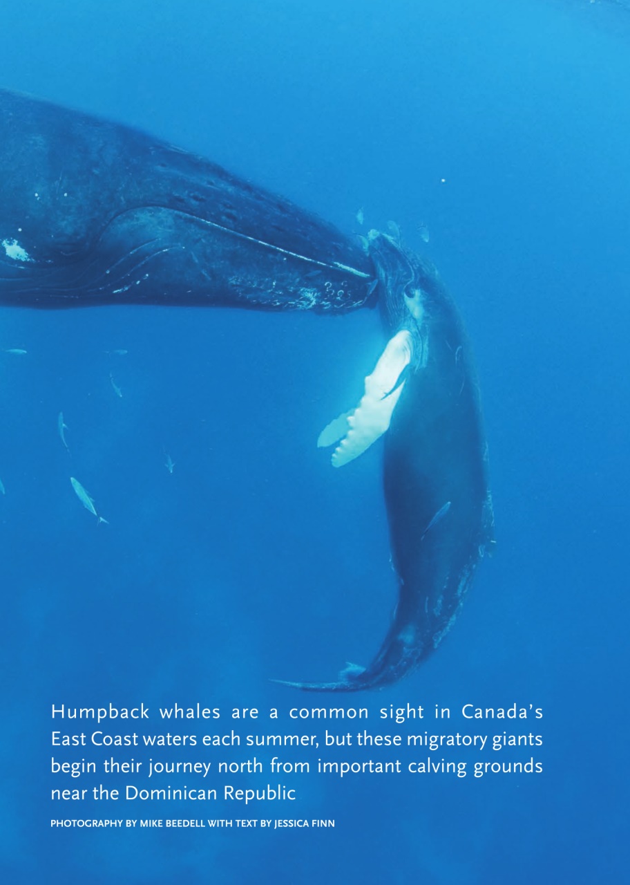 Canadian Geographic Preview Pages