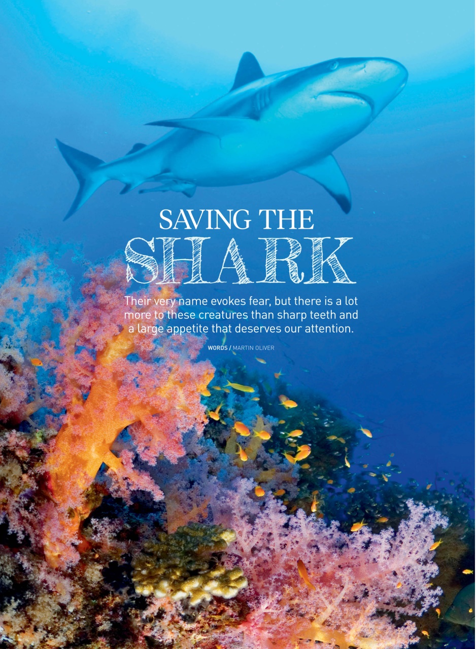 WellBeing Preview Pages