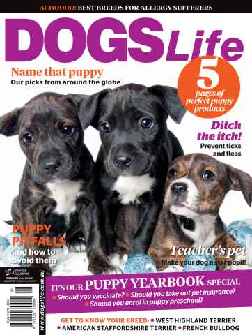 Dogs Life issue Jan/Feb Issue#129