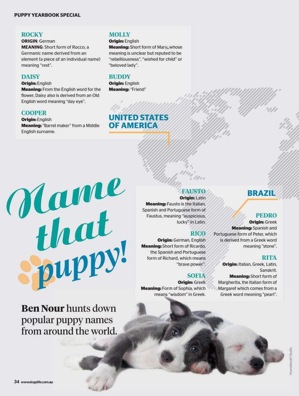 Dogs Life Preview Pages