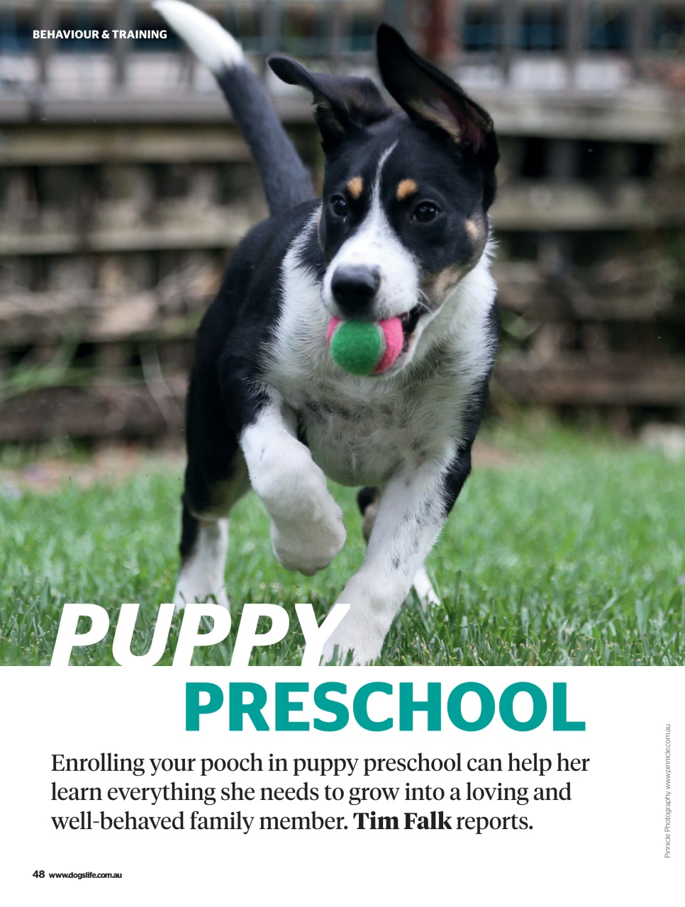 Dogs Life Preview Pages