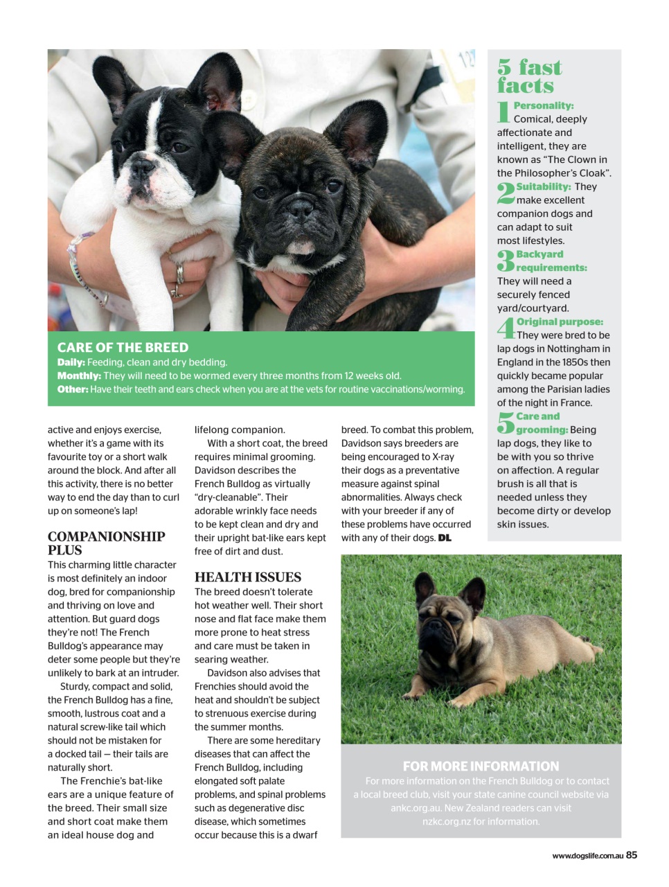 Dogs Life Preview Pages