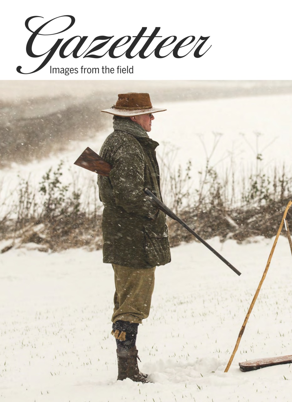 Shooting Gazette Preview Pages