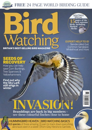 Bird Watching issue 