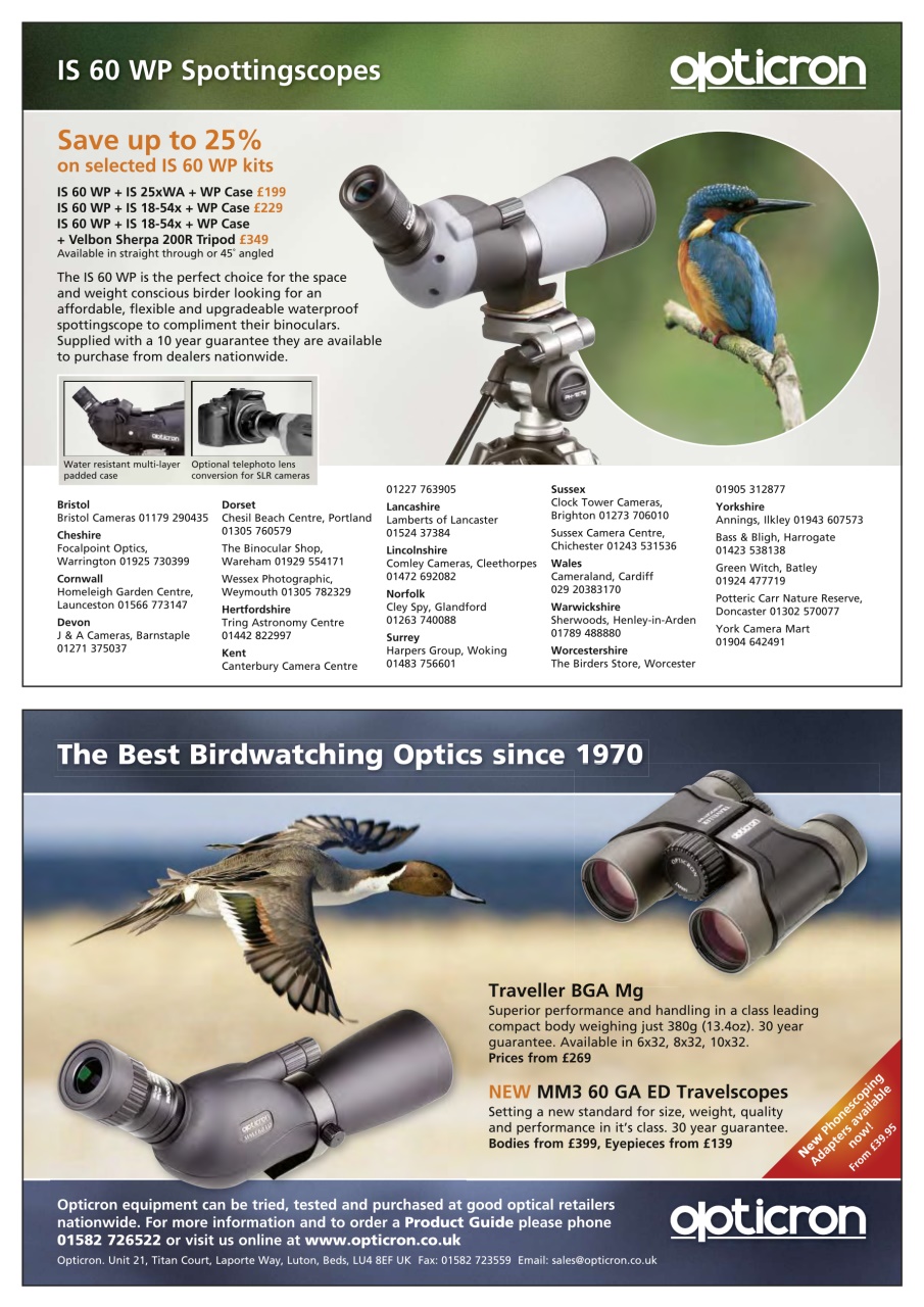 Bird Watching Preview Pages