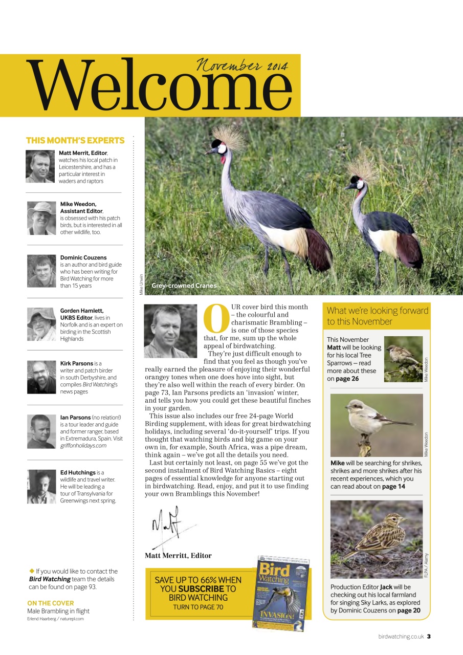 Bird Watching Preview Pages
