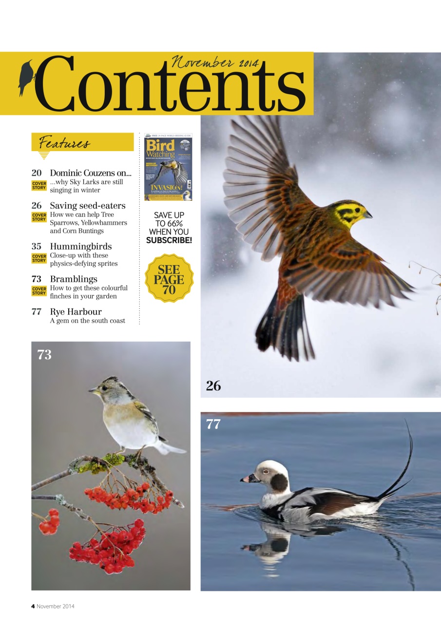 Bird Watching Preview Pages