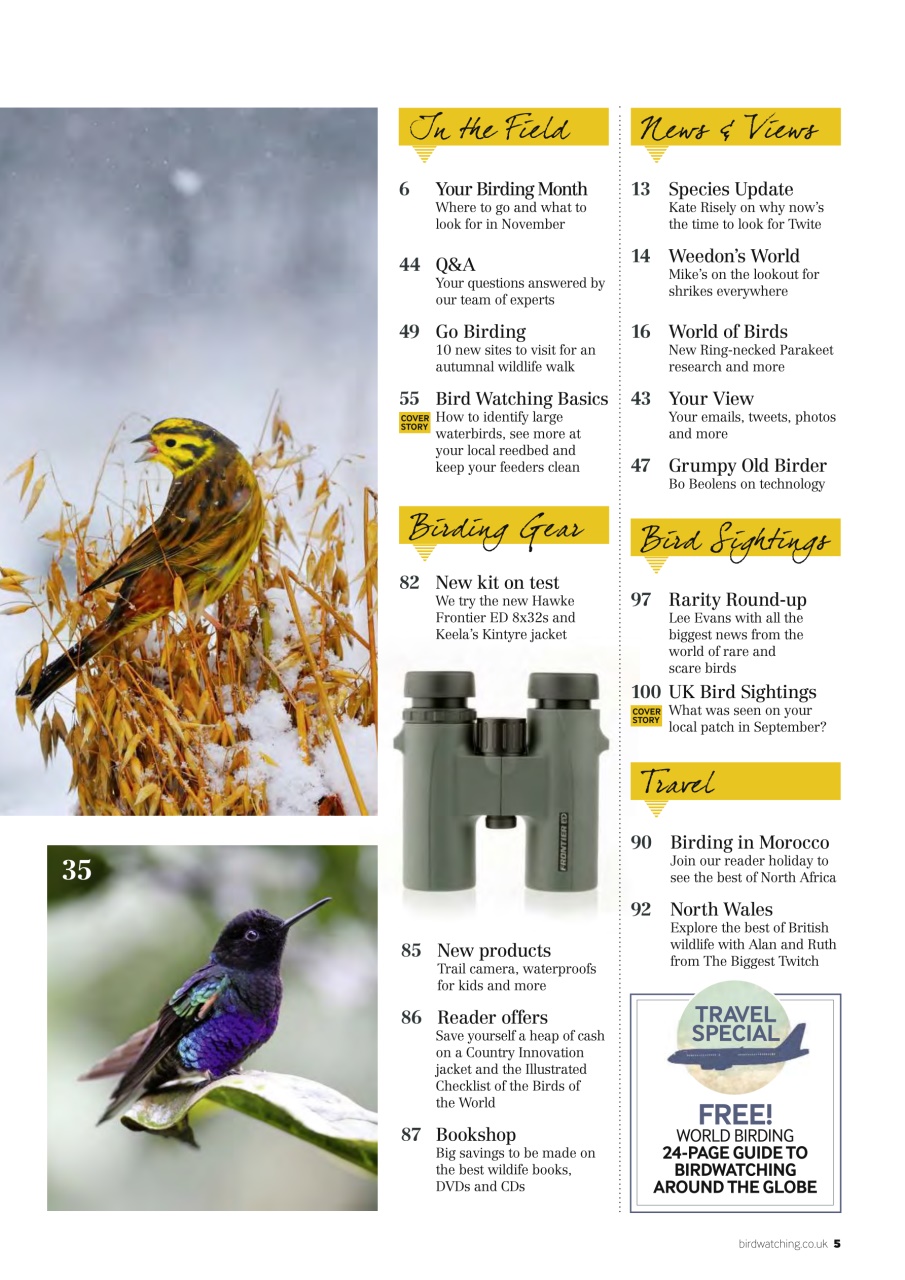 Bird Watching Preview Pages