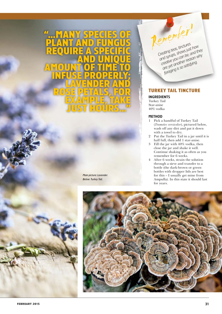 Home Farmer Magazine Preview Pages