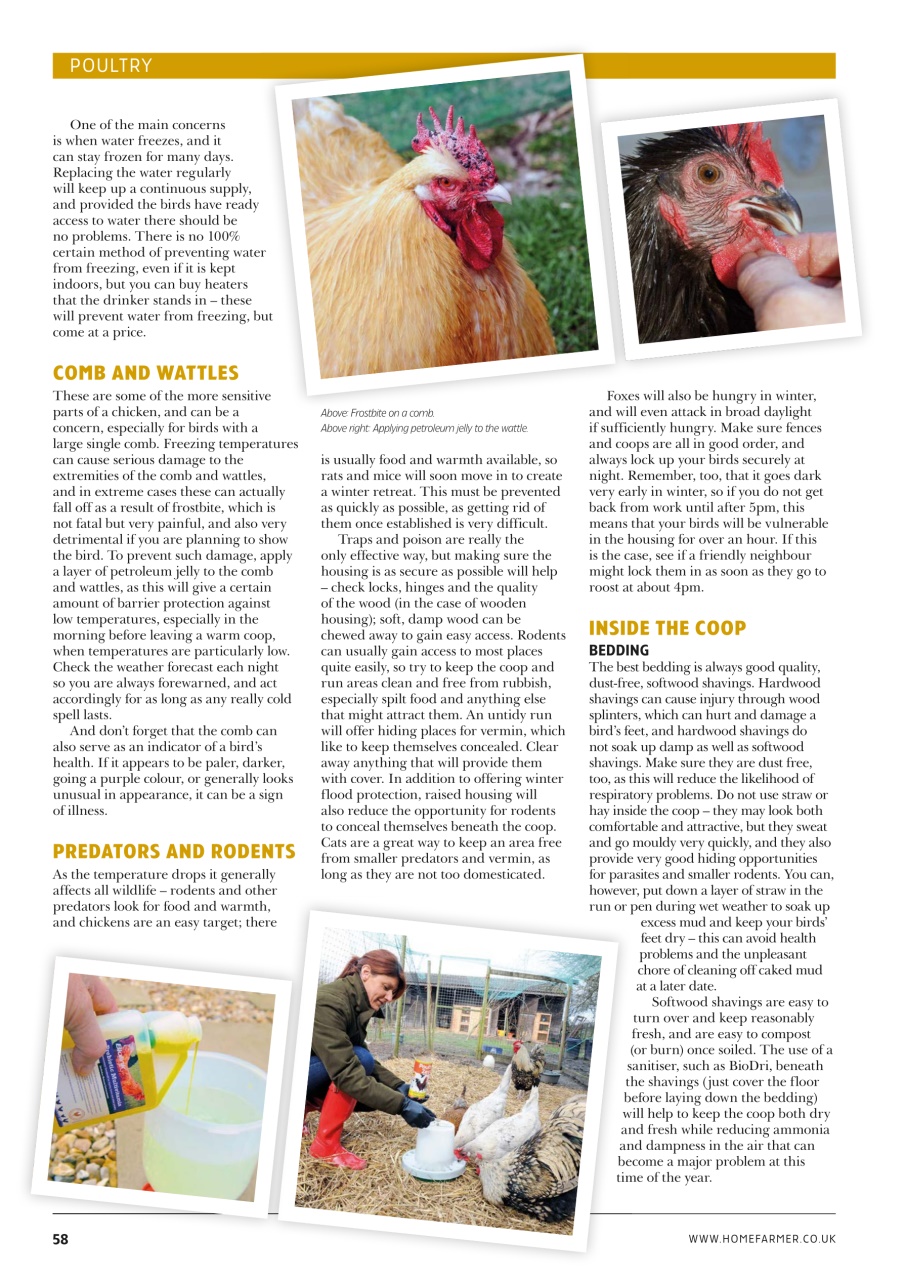 Home Farmer Magazine Preview Pages
