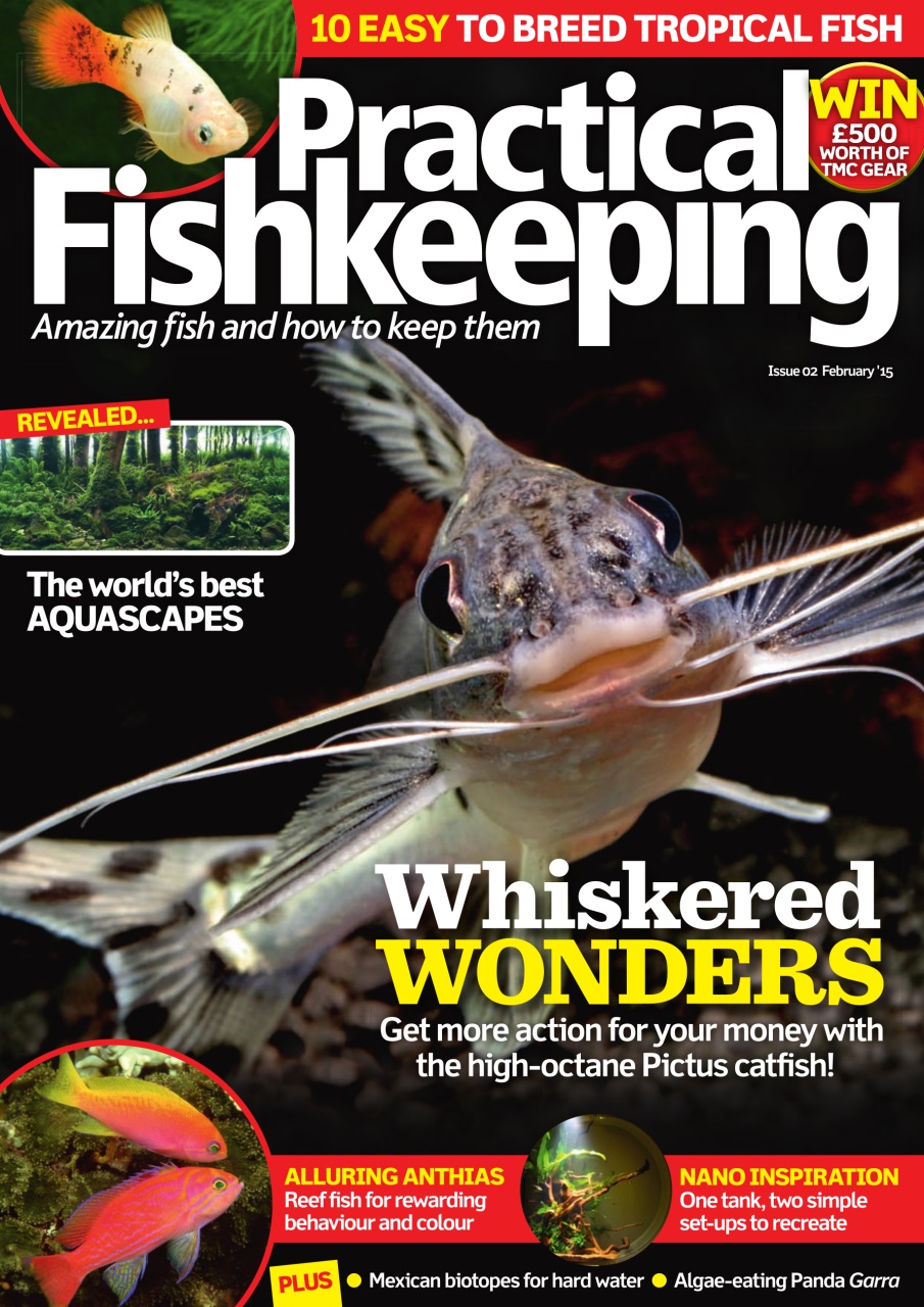 Practical Fishkeeping Preview Pages