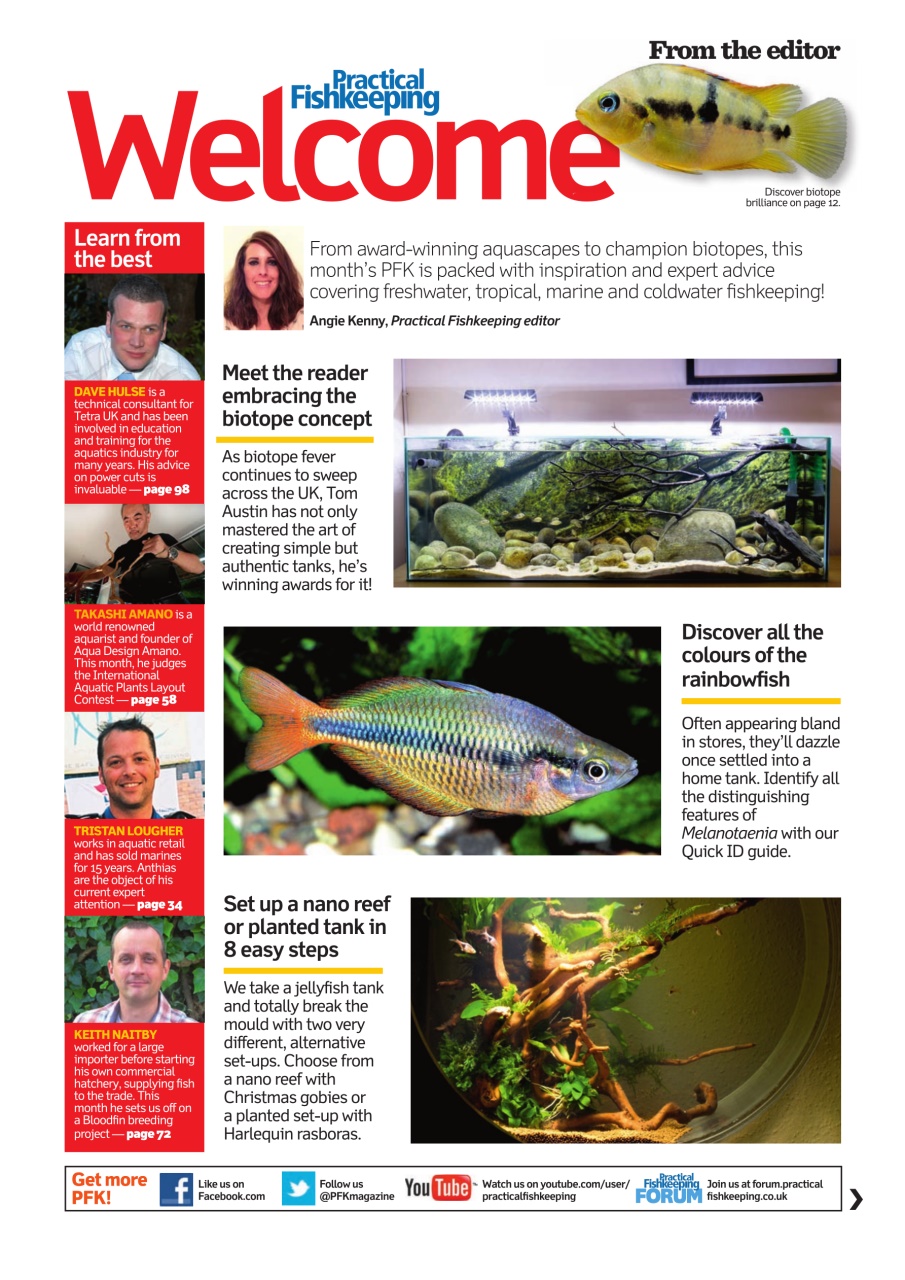 Practical Fishkeeping Preview Pages