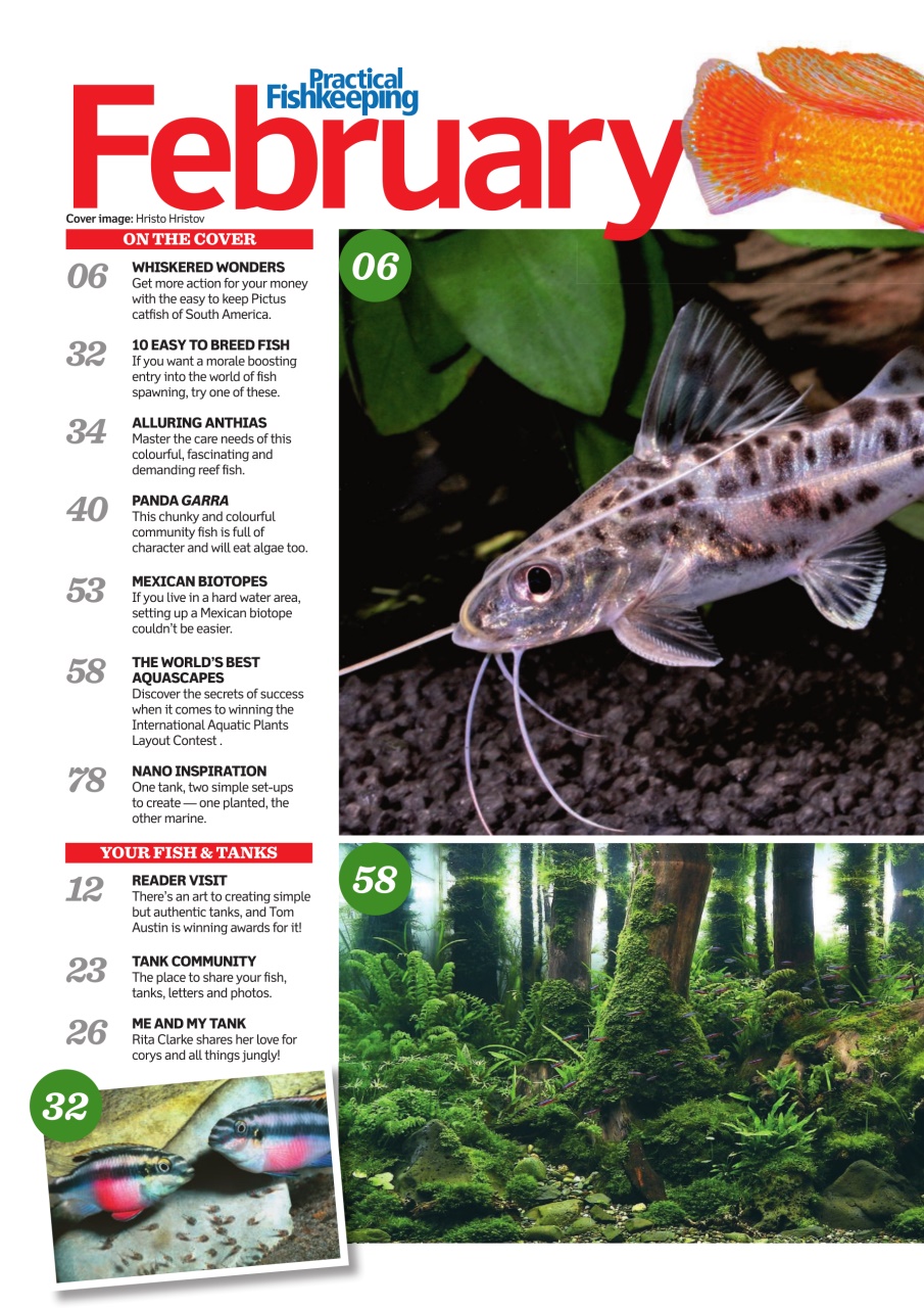 Practical Fishkeeping Preview Pages