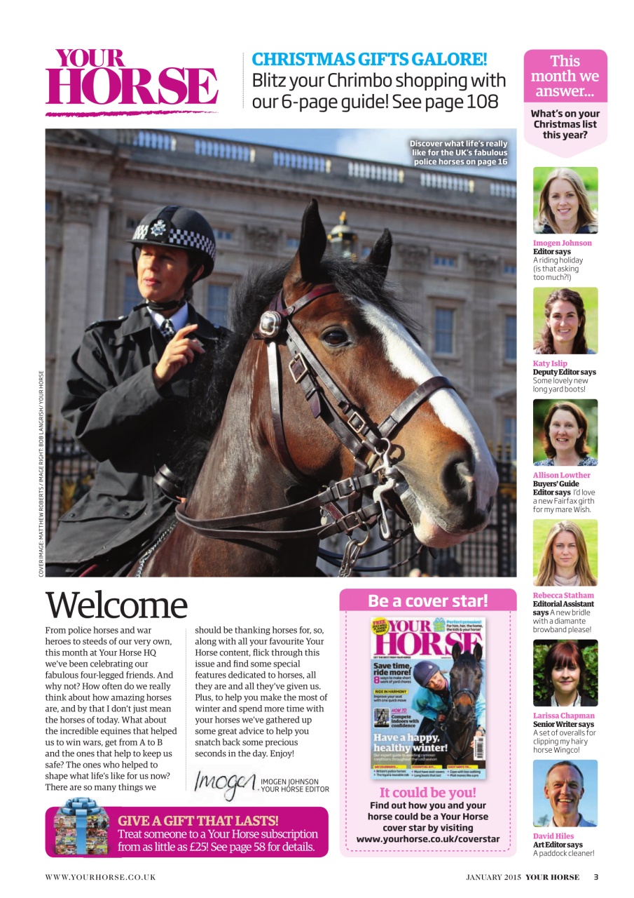 Your Horse Preview Pages