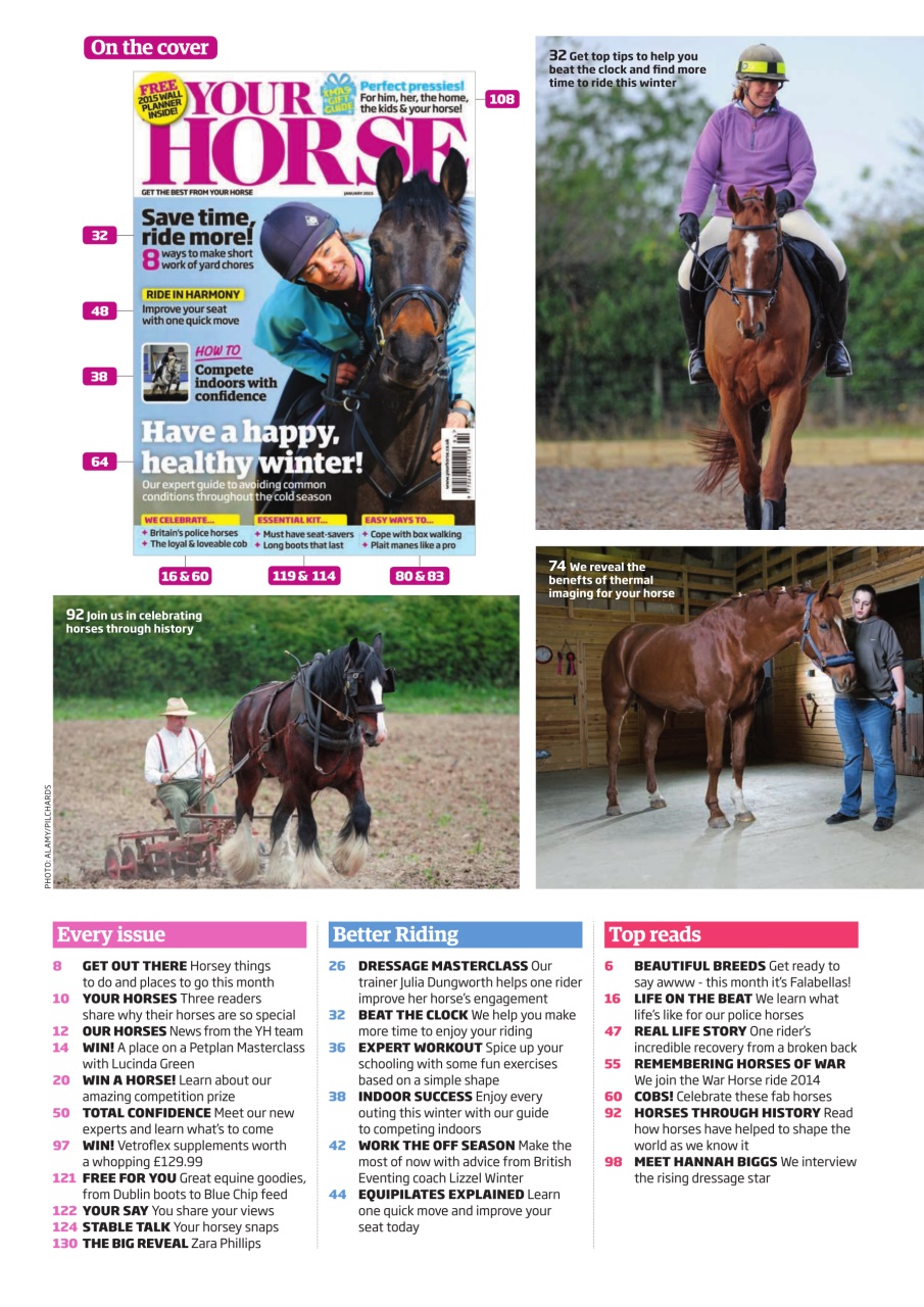 Your Horse Preview Pages