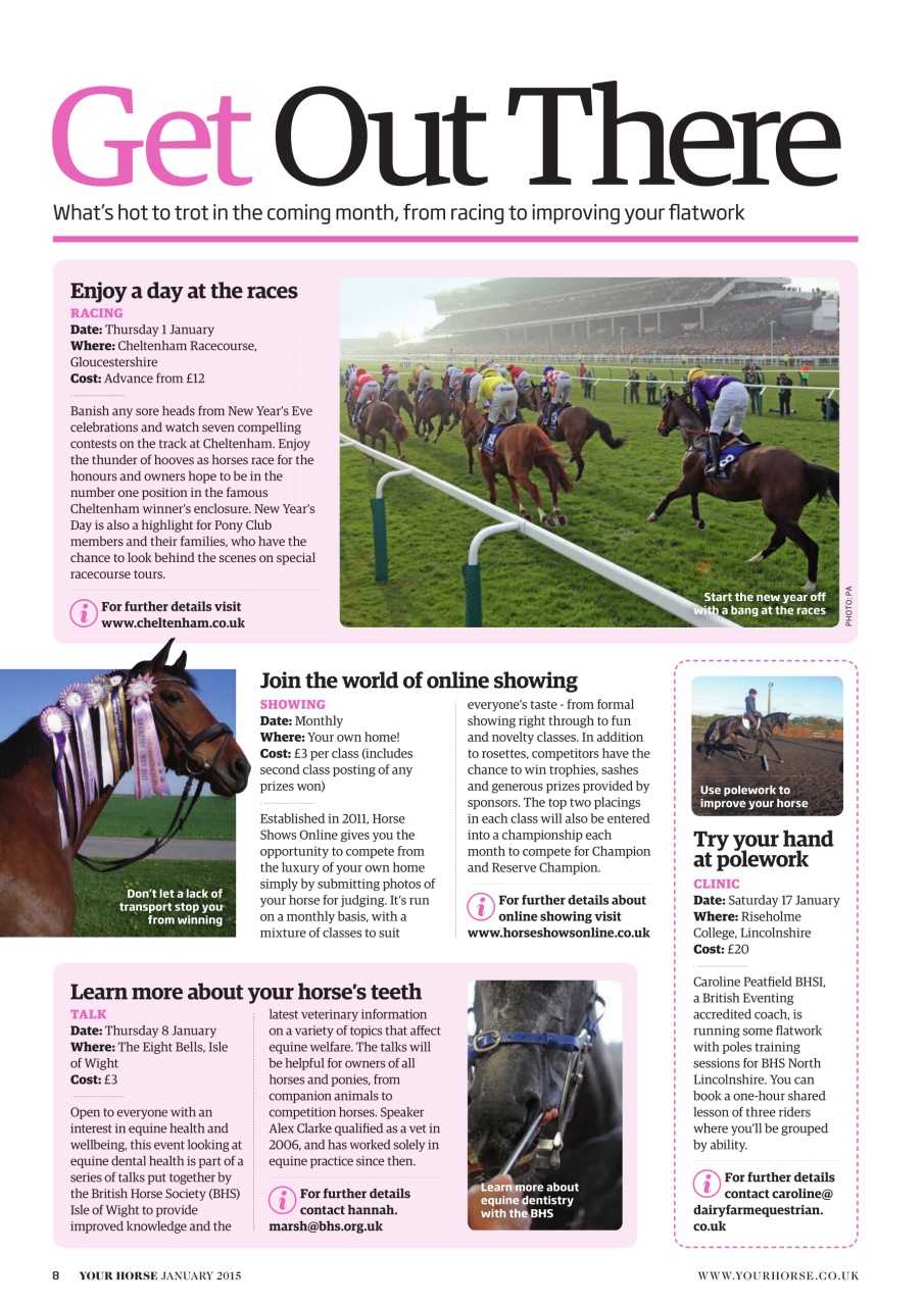 Your Horse Preview Pages