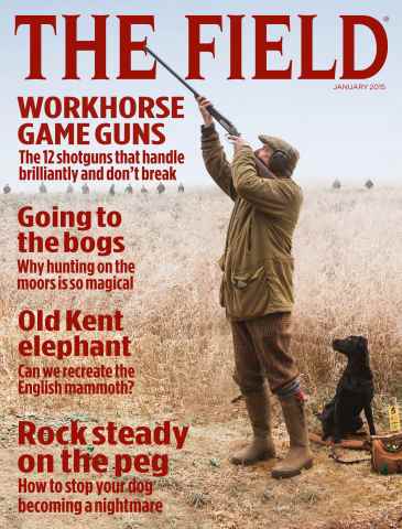 The Field issue Jan-15
