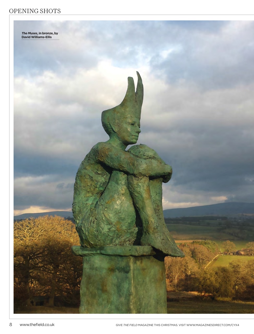 The Field Preview Pages