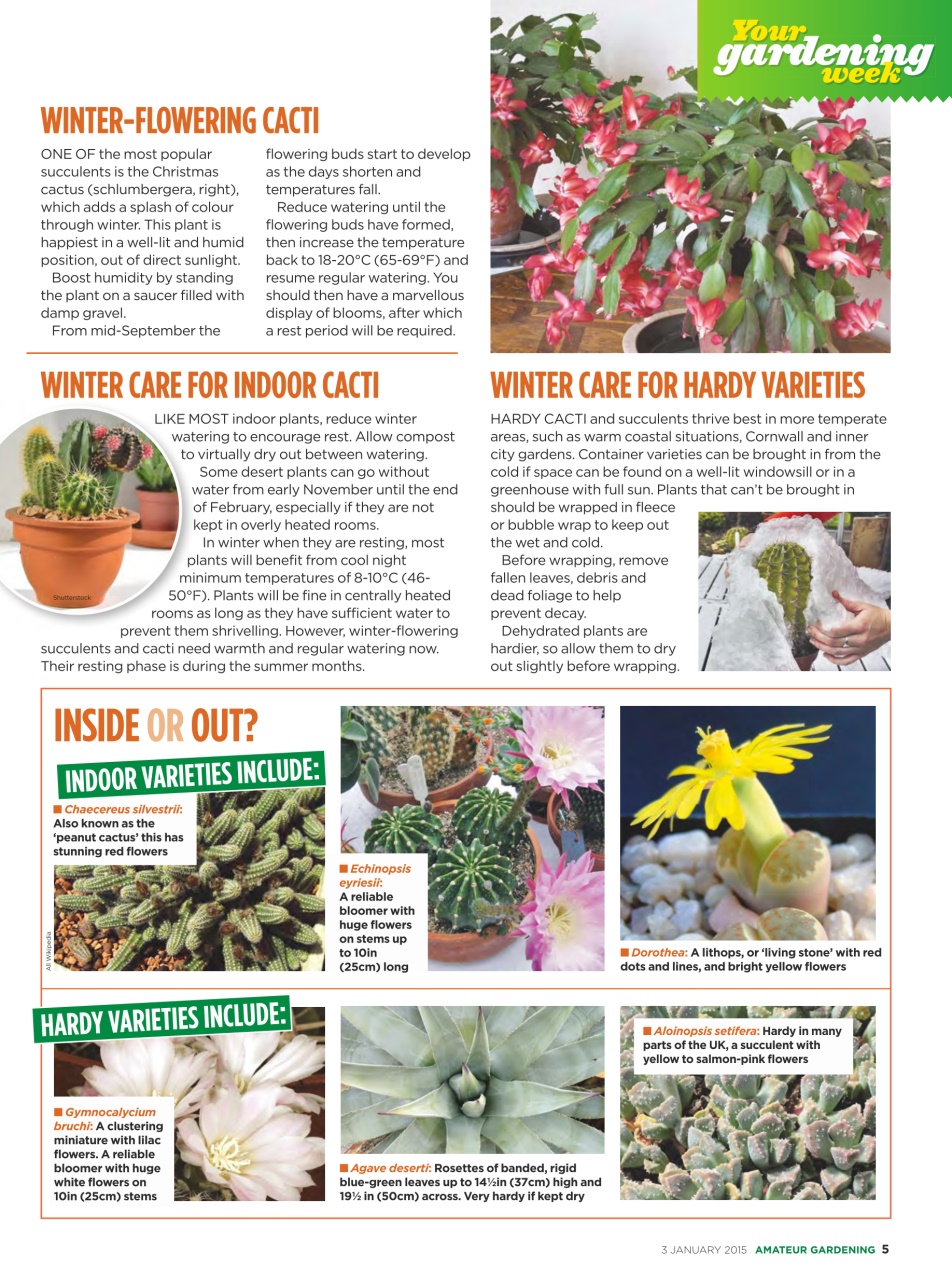 Amateur Gardening Preview Pages