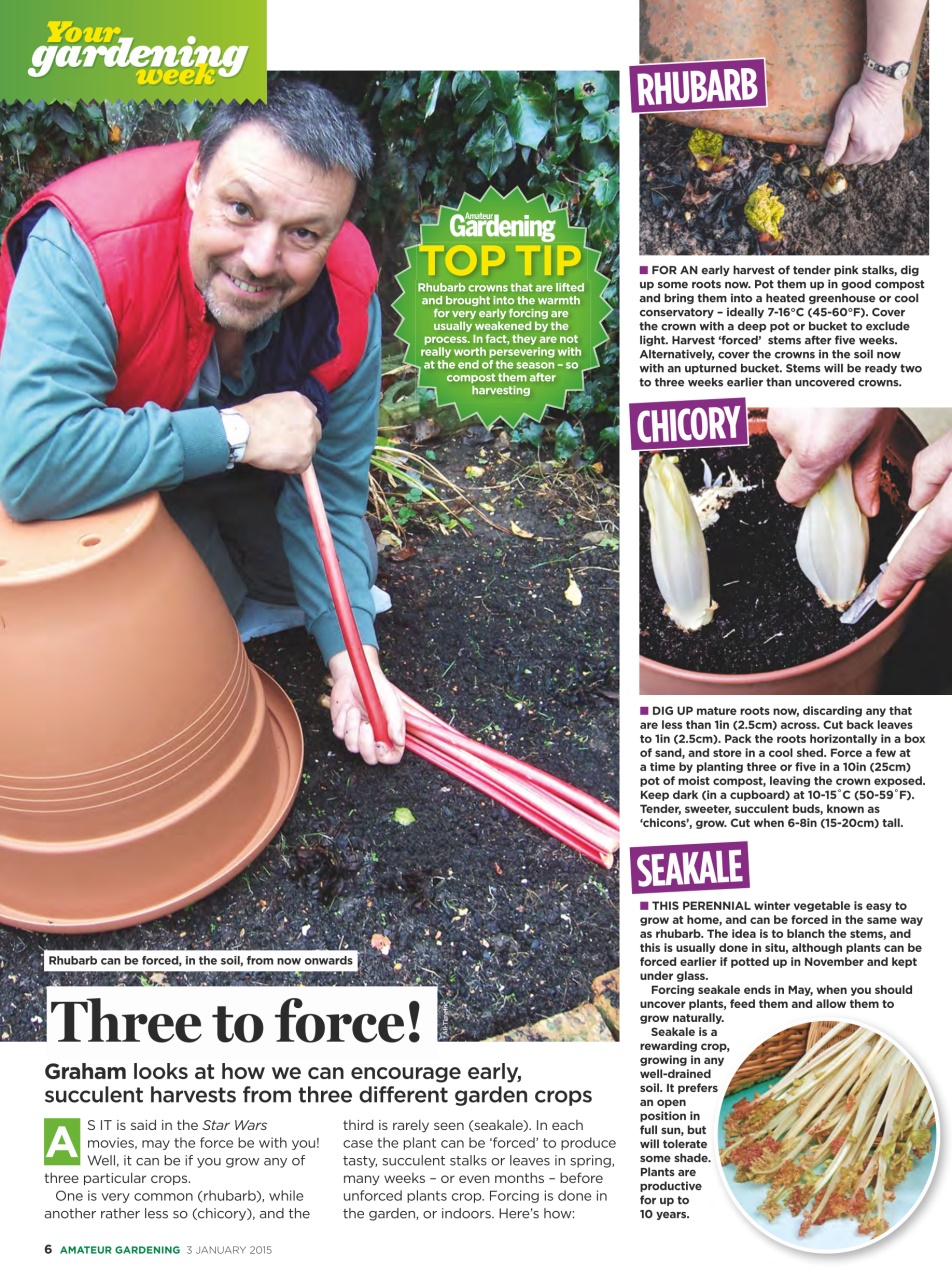 Amateur Gardening Preview Pages