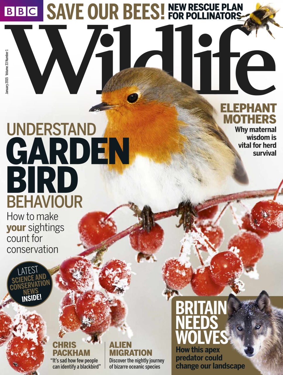 BBC Wildlife Magazine Preview Pages