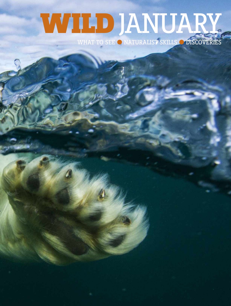 BBC Wildlife Magazine Preview Pages