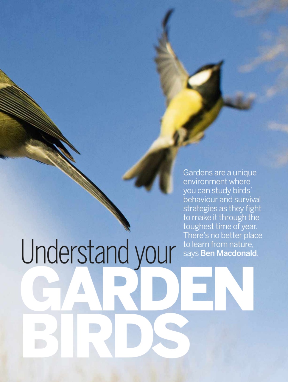 BBC Wildlife Magazine Preview Pages