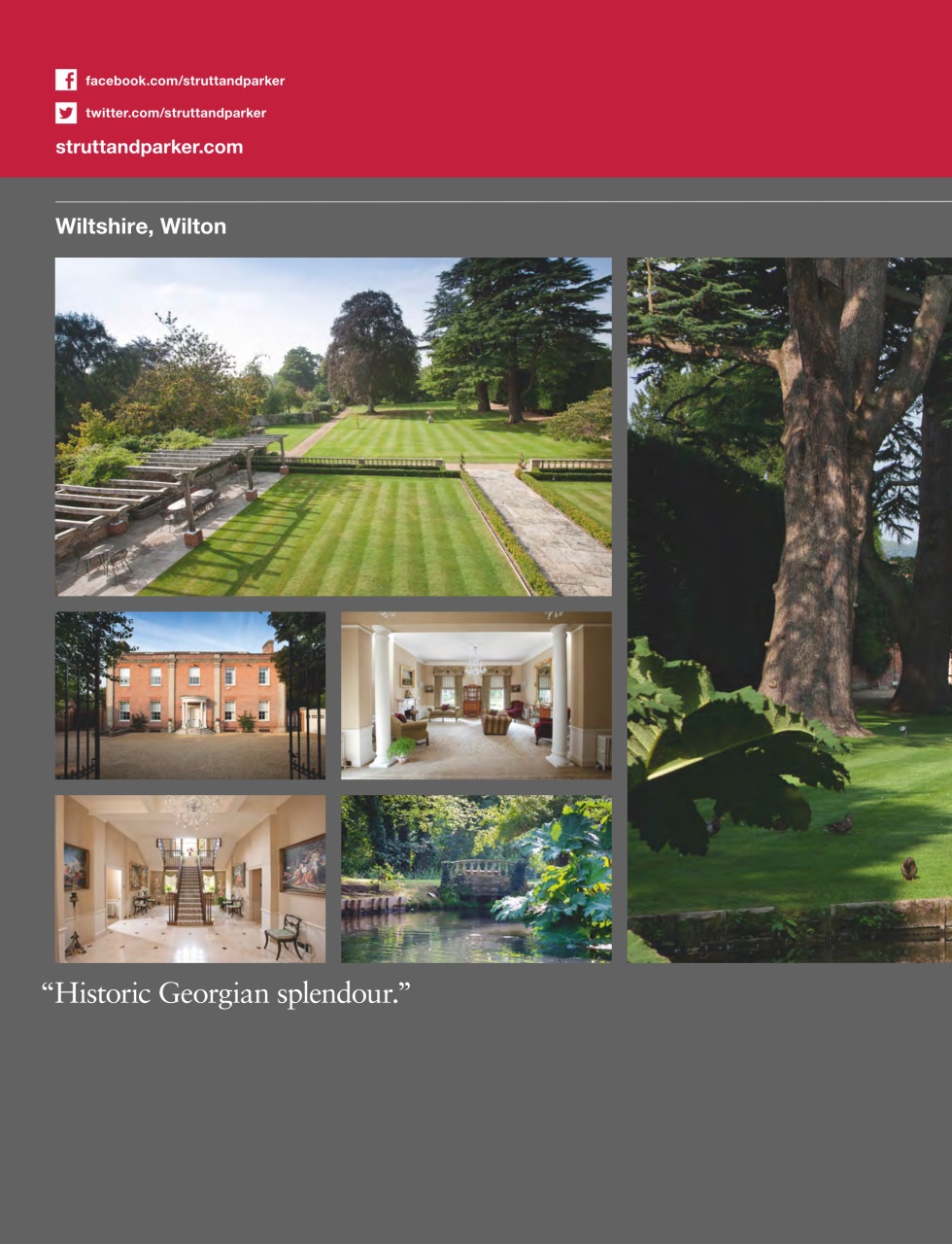 Country Life Preview Pages