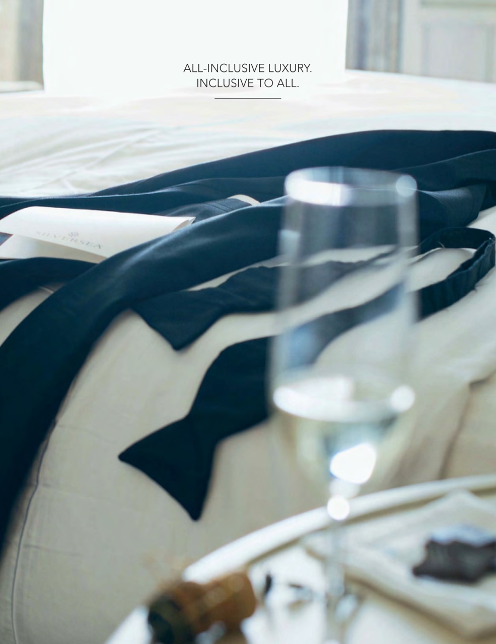 Passport Preview Pages