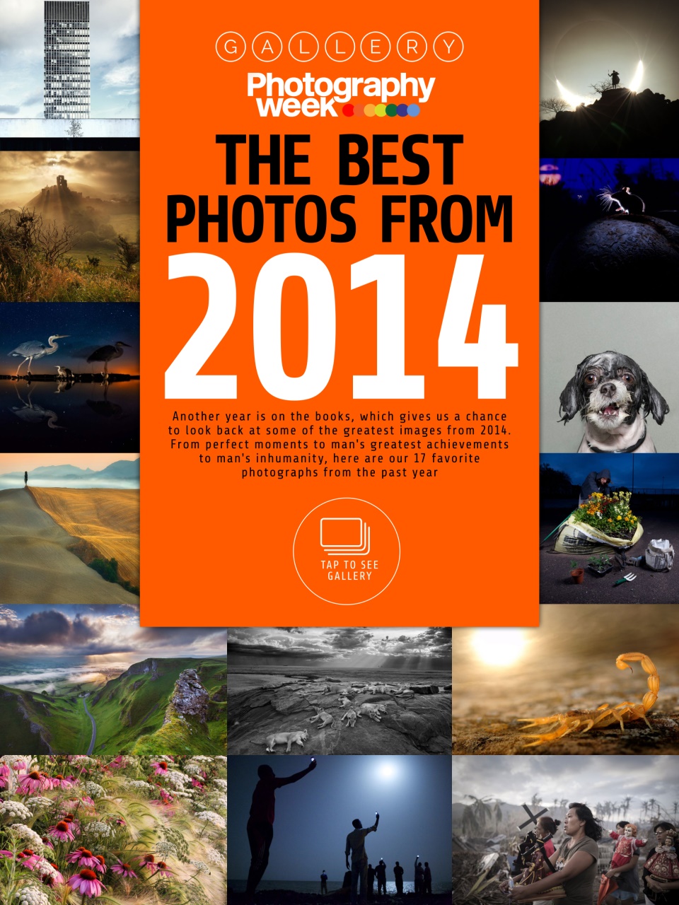 Photography Week Preview Pages