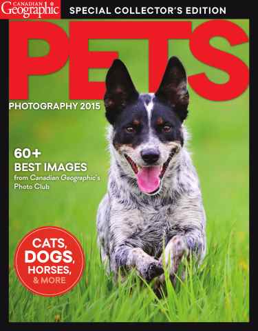 Canadian Geographic issue Pets Photography 2015