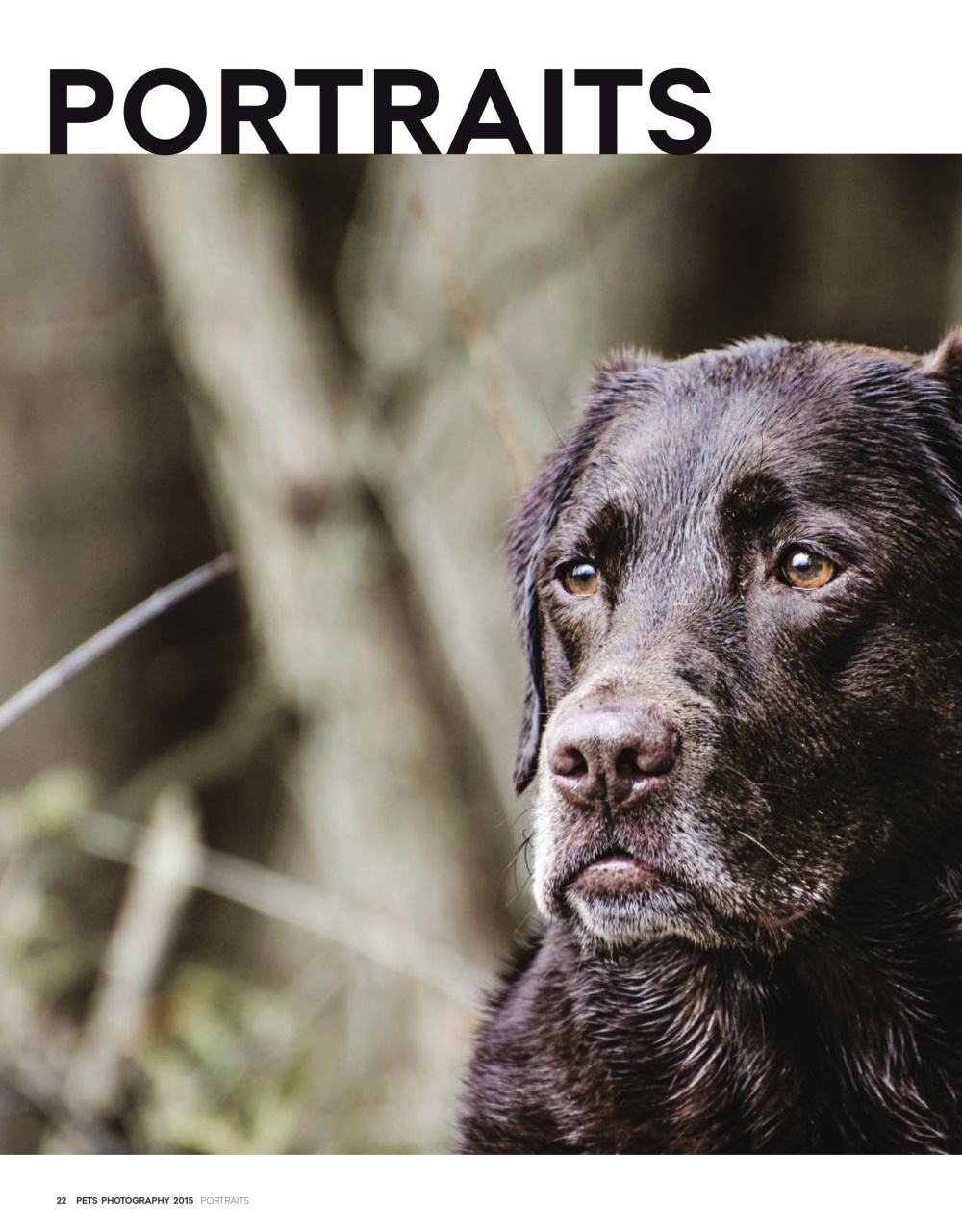 Canadian Geographic Preview Pages