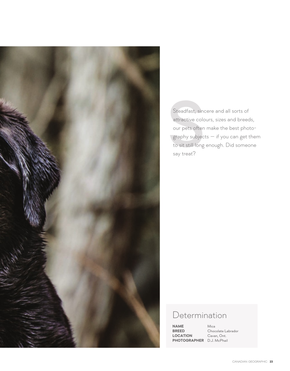 Canadian Geographic Preview Pages