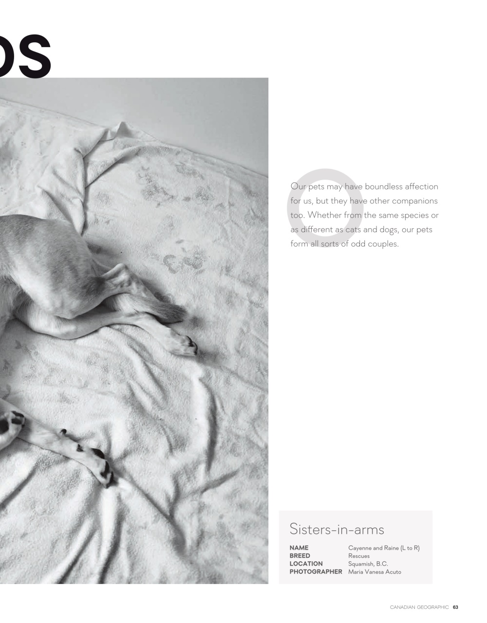 Canadian Geographic Preview Pages