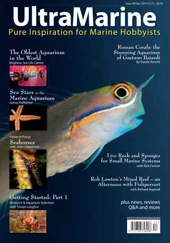 UltraMarine Magazine issue Issue 49