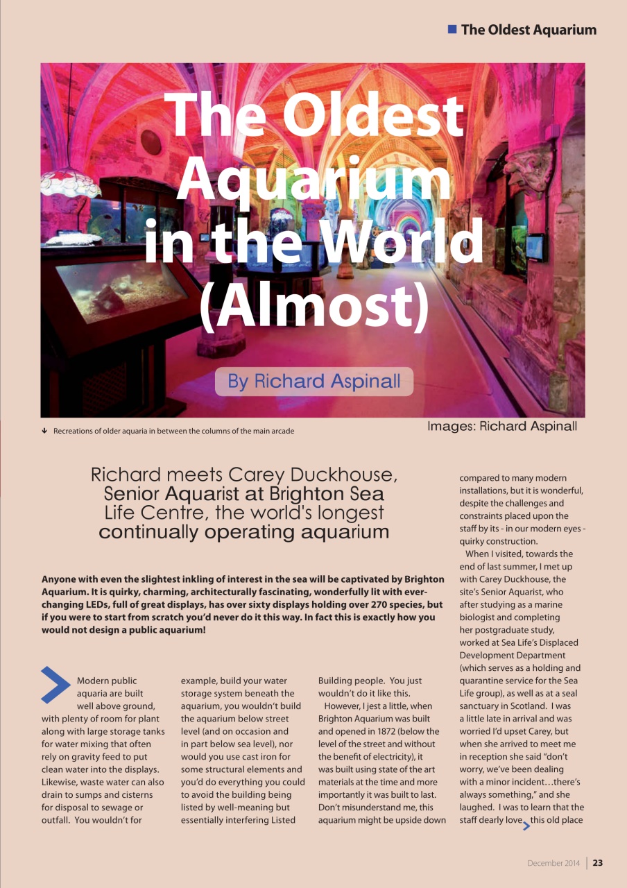 UltraMarine Magazine Preview Pages