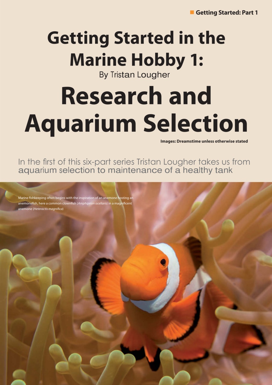 UltraMarine Magazine Preview Pages