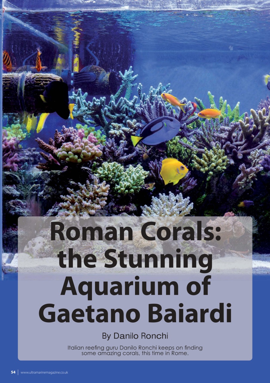 UltraMarine Magazine Preview Pages