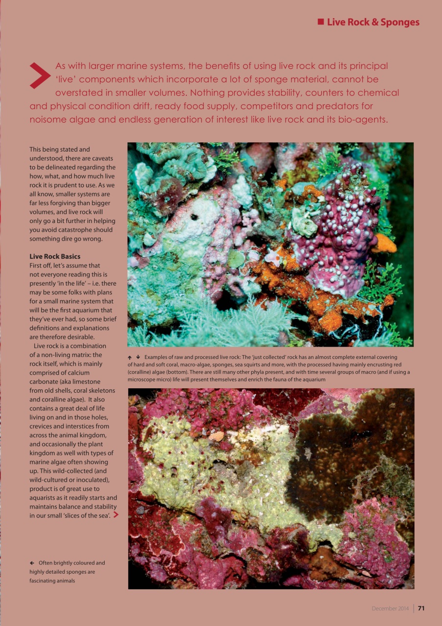 UltraMarine Magazine Preview Pages