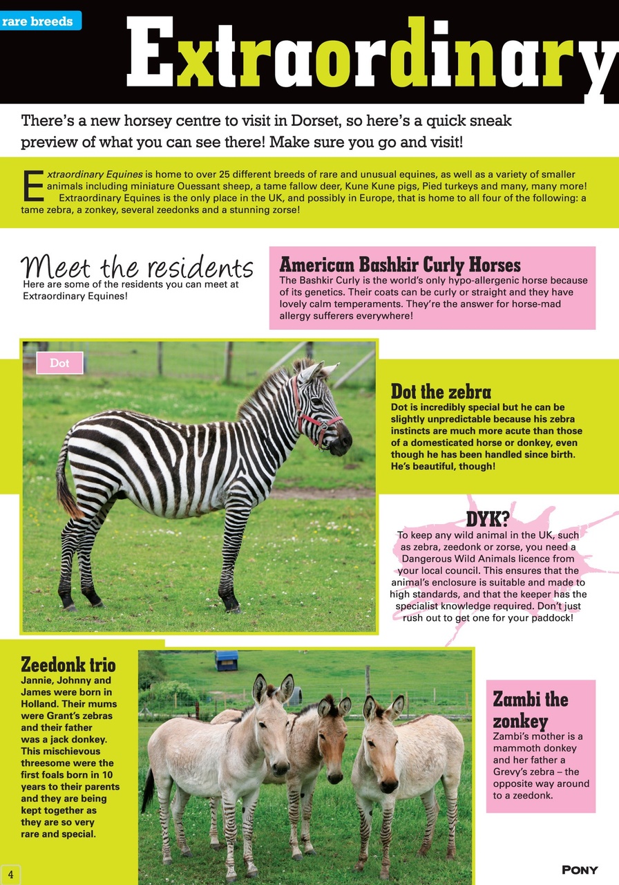 Pony Magazine Preview Pages