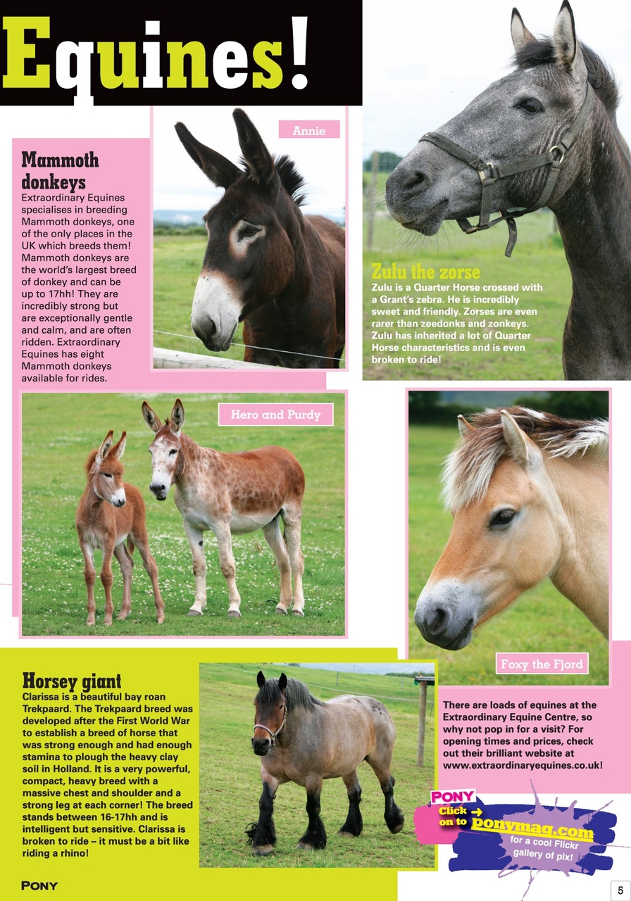 Pony Magazine Preview Pages