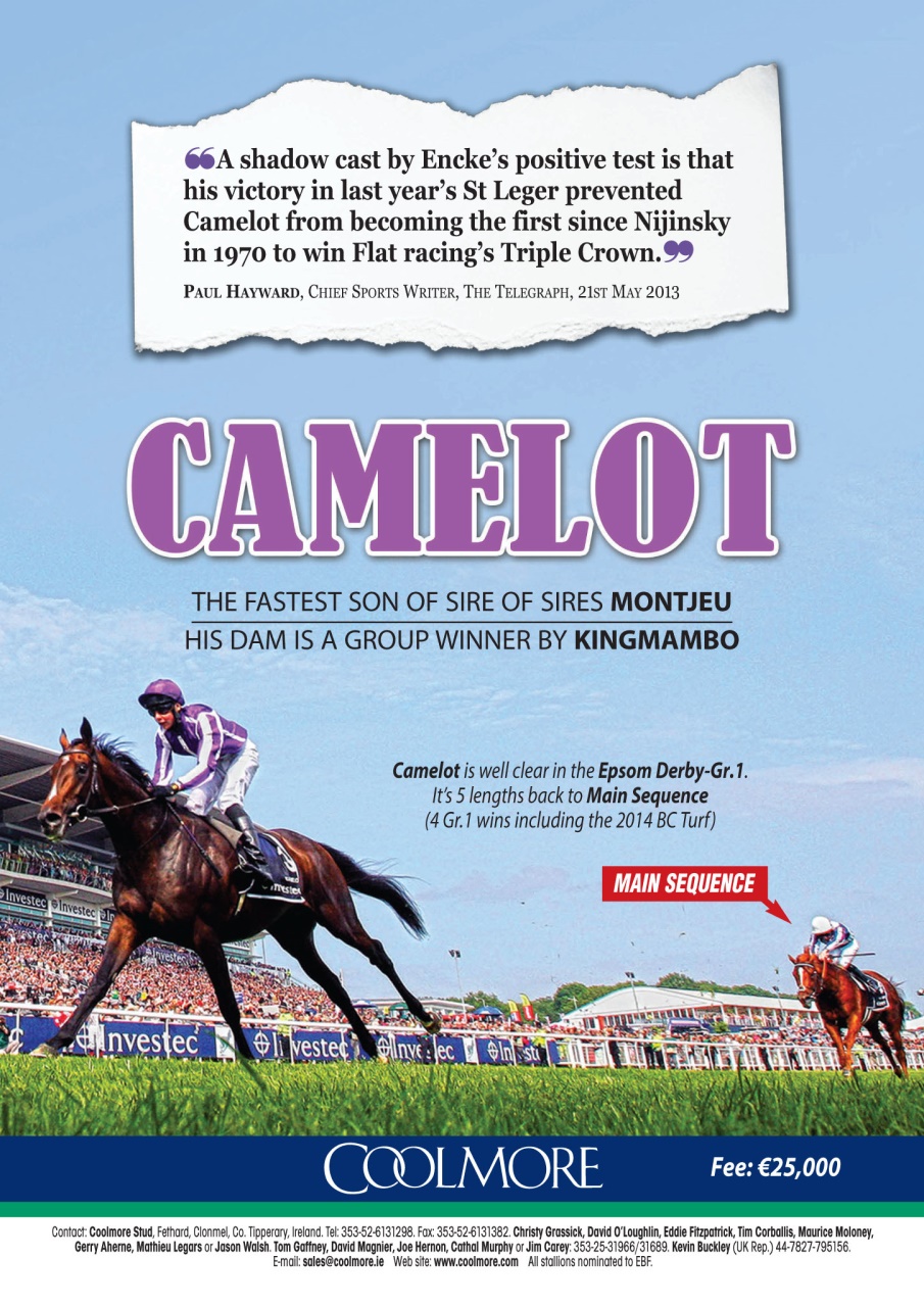 The Owner Breeder Preview Pages