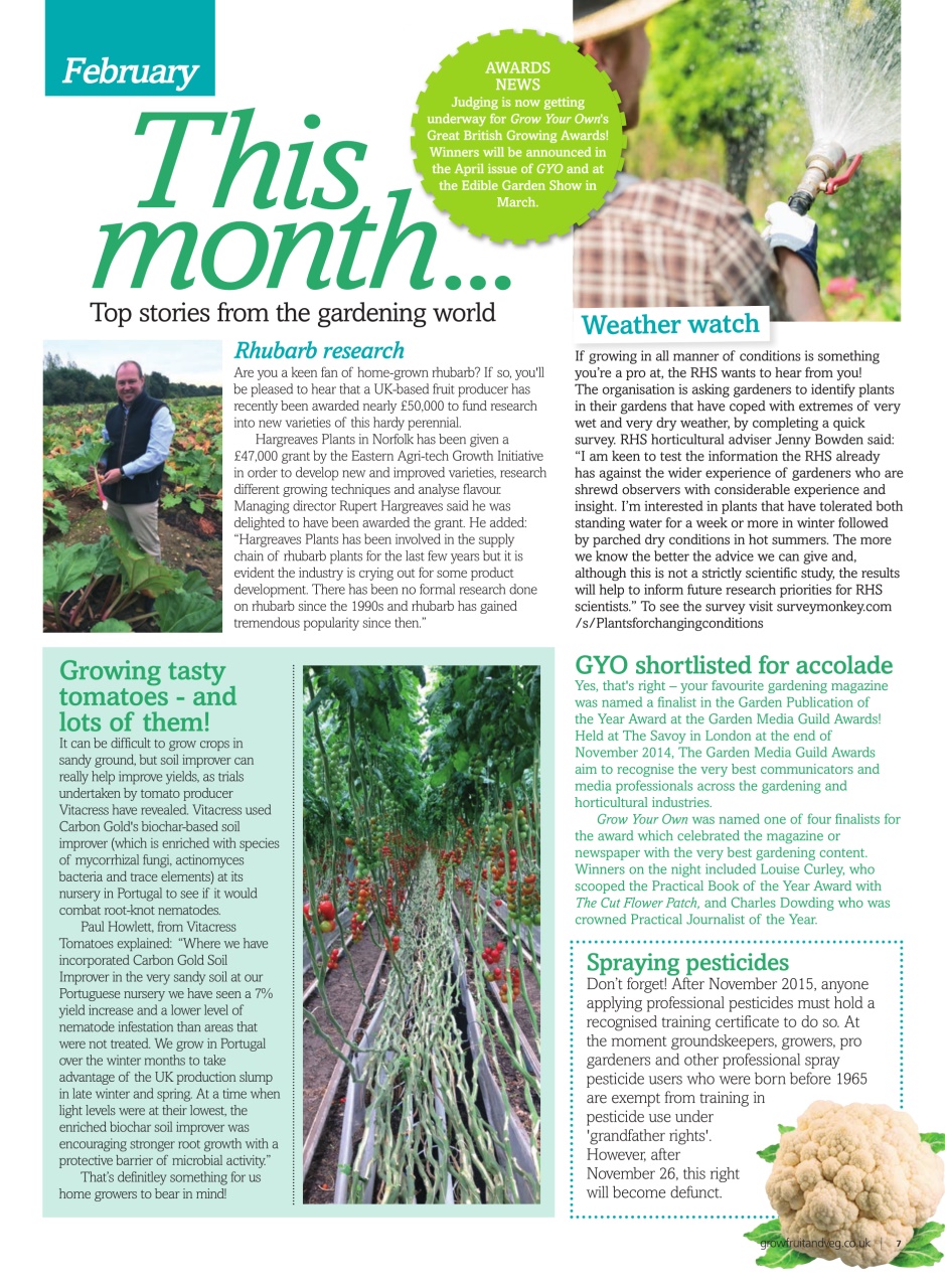 Grow Your Own Preview Pages