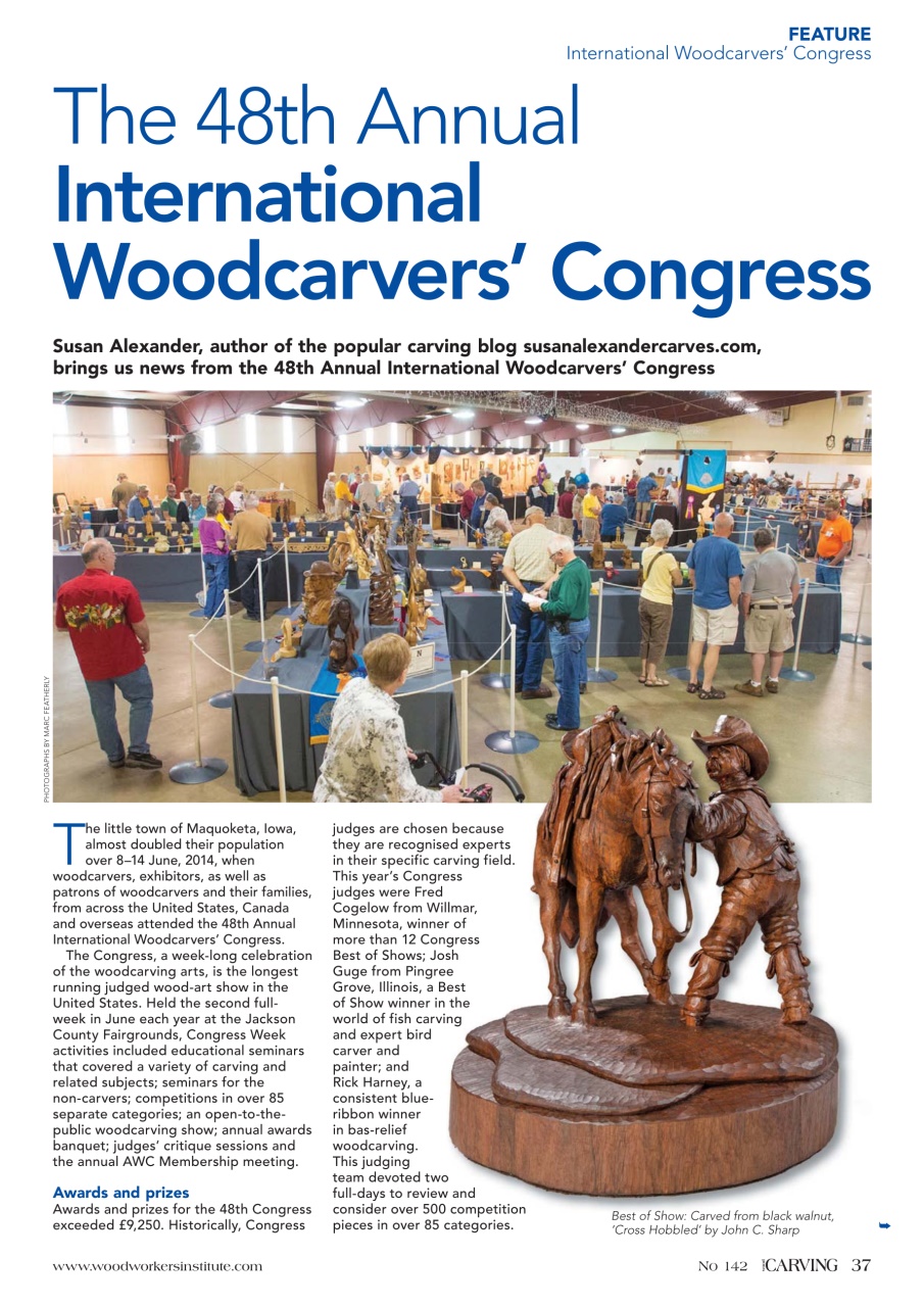 Woodcarving Preview Pages