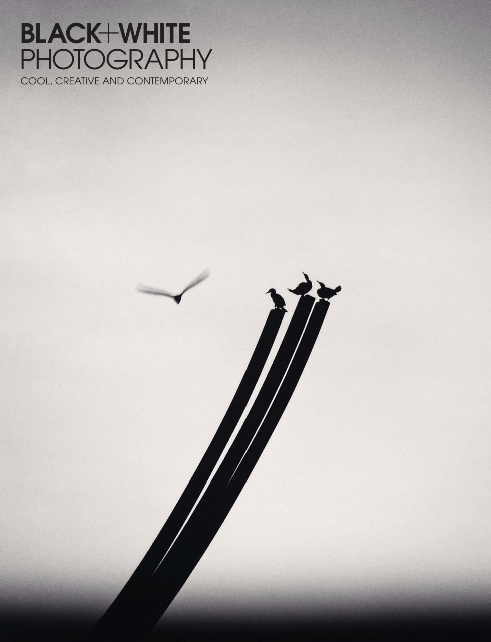 Black+White Photography Preview Pages