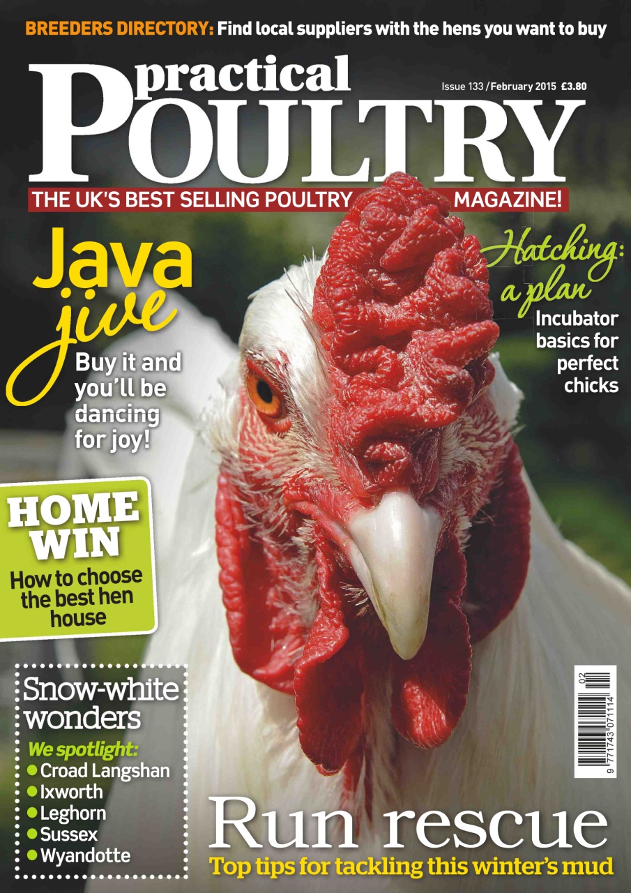 Practical Poultry Preview Pages