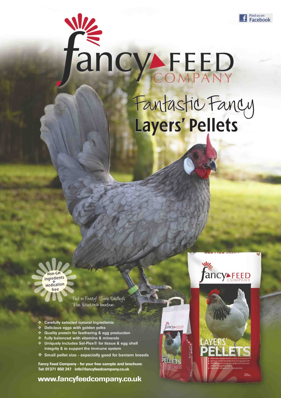 Practical Poultry Preview Pages