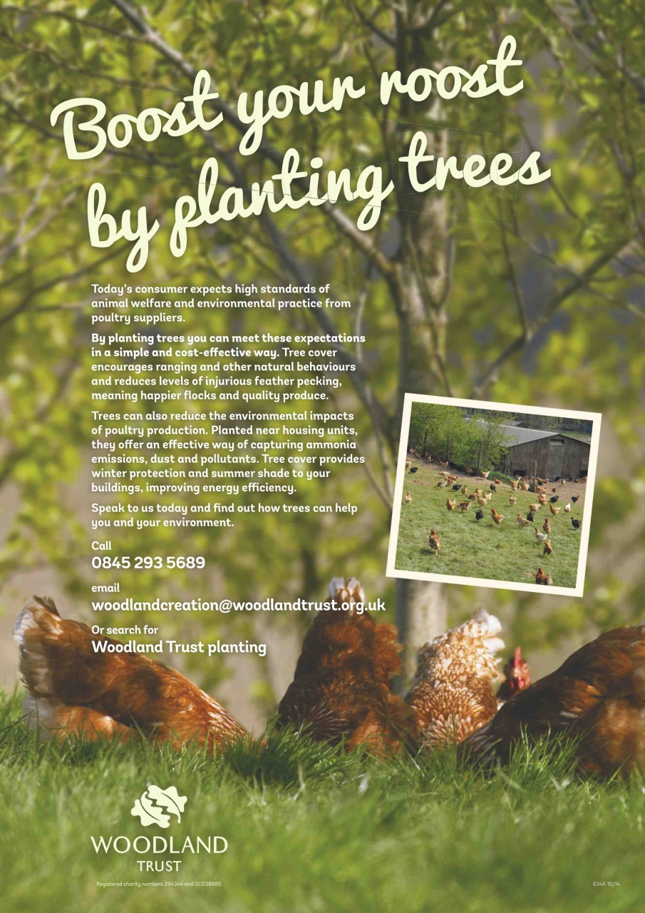 Practical Poultry Preview Pages