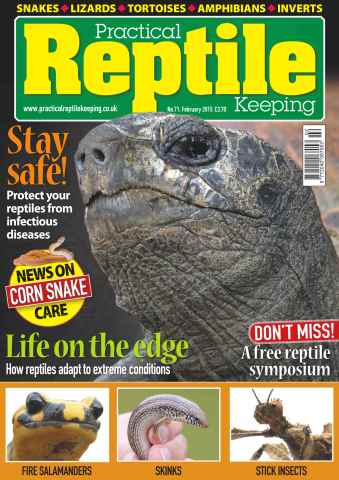Practical Reptile Keeping issue No.71 Life on the edge